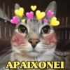 APAIXONEI