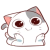 Kucing Centil #1 8