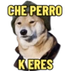CHE PERRO KERES