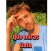 Fede Vigevani jsjs 14