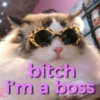 Gatitos apocalípticos 🙀 13