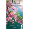 Good morning 16