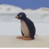 PINGU MEMES 10