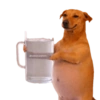 Falanga Memes 2 18