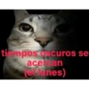 OTRA VEZ LUNES 😭😡 8