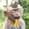🐒✨️Chimpances Mood✨️🐒 15