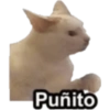 Puñito 🤓 5