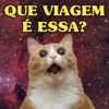 QUE VIAGEM É ESSA?