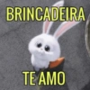 BRINCADEIRA TE AMO