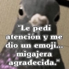 🧿Frases Migajeras🍞🐦 13