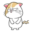 Kucing luthuu 7