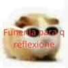 Funerla para q reflexione