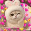 Kucing Bucin 13