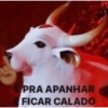 D PRA APANHAR FICAR CALADO