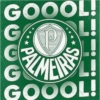 Palmeiras 🍃✨ 17
