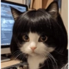 Michis 😺🥰🤭 11