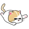Kucing luthuu 5