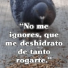 🧿Frases Migajeras🍞🐦 24