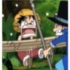 Luffy 19