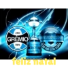 1903 GREMIO FBPA HBERTADORES 2009 TUDO TEMIO-WALLPAPERSBLOGSPOT.COM POR ESTA GLORIA feliz natal