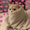 Gatinhos apaixonados 😻 9