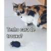 Gata 2 30