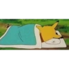 Pokemon 29