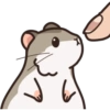 Seba The Hamster 8