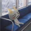 White cat 12