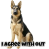 Dog love 8
