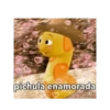 Pichulas 11