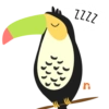 Nomellamo 6
