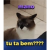 Mozart bolado 6