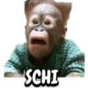 ANIMALS 5