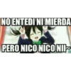 NO ENTEDI NI MIERDA PERO NICO NICONII