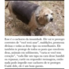 Zuera com silly face 8