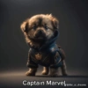 Animales Marvel 🐶🐱🐕 15