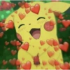 Pokemon 14