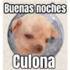 Buenos días culona 5