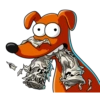 XEM SPRINGENS