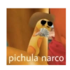 Pichulas 5