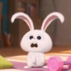 Kelinci Imut 8
