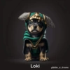 Animales Marvel 🐶🐱🐕 21