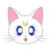 Sailor moon 19