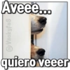 🚫Memes que no viste6🚫 16