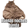 Memes pa' enviar de Gatitos 16