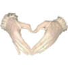 ˙ 𖥦  ⪧ ◟aestehetic white˒ ˶🤍 13