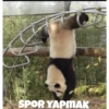Pandacomics 7