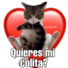 Gatitos amorosos. 14