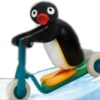 Pingu 🐧 O&M 17
